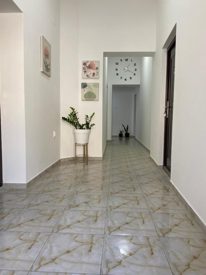 Apartmán Lotus House Zrenjanin Exteriér fotografie