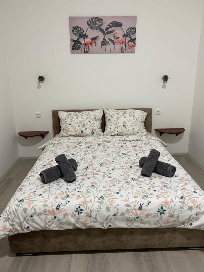 Apartmán Lotus House Zrenjanin Exteriér fotografie