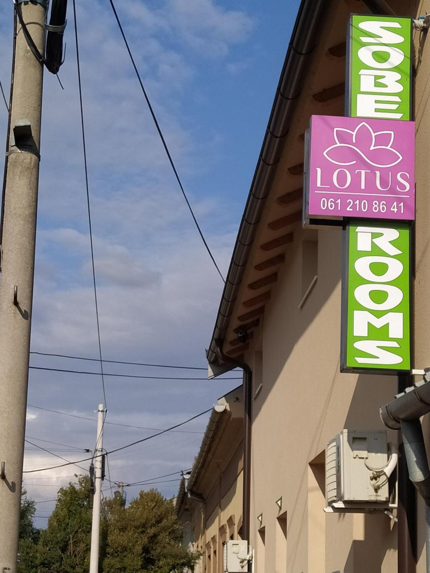 Apartmán Lotus House Zrenjanin Exteriér fotografie
